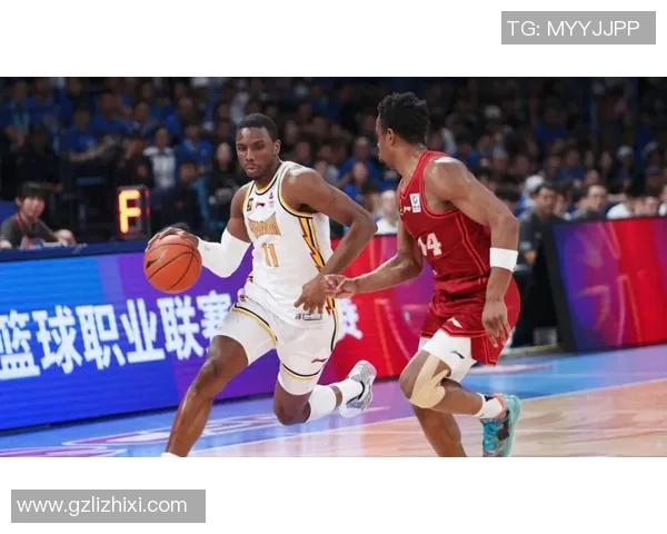 篮球明星背后的奋斗与荣耀故事全解析与资料汇总